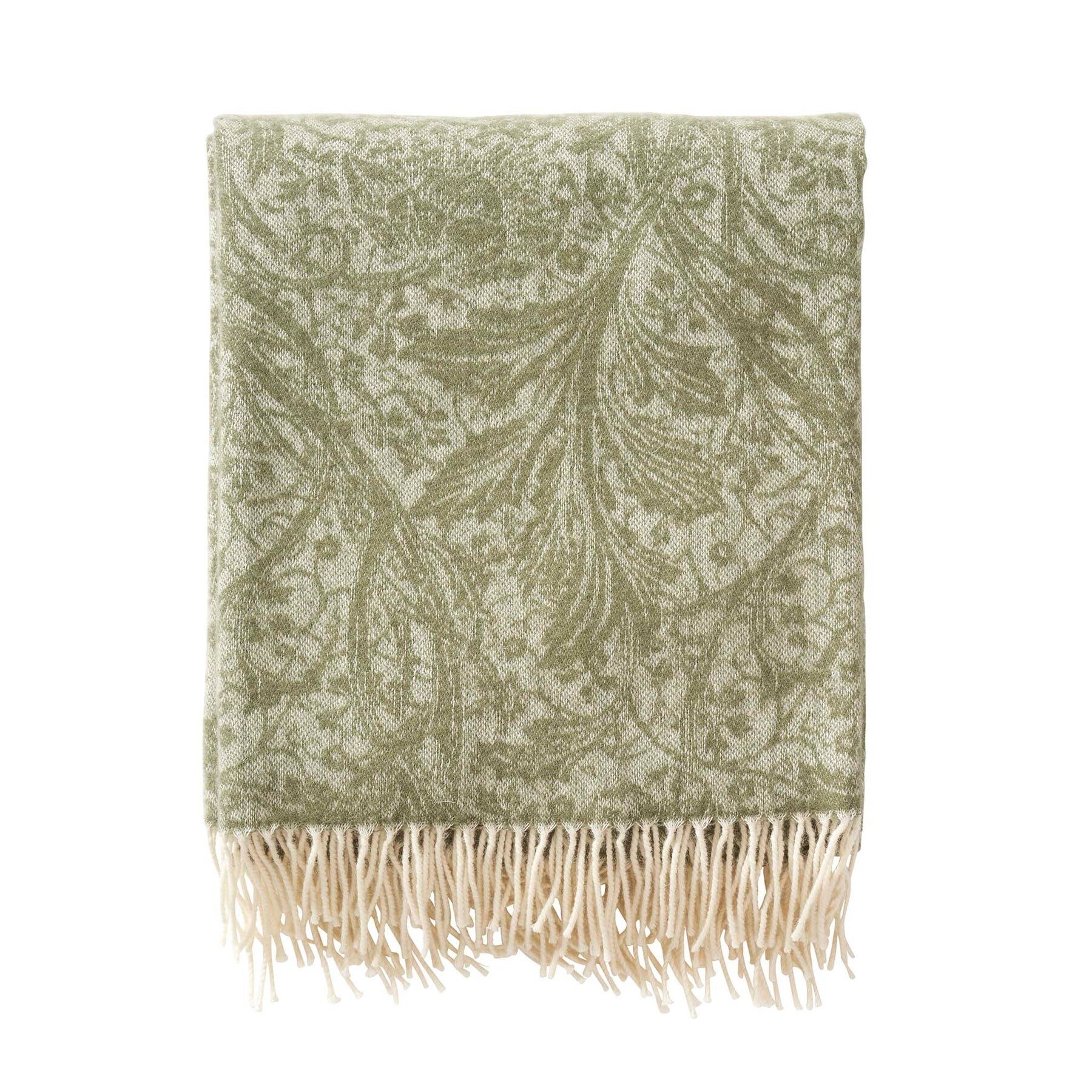 olive (1)